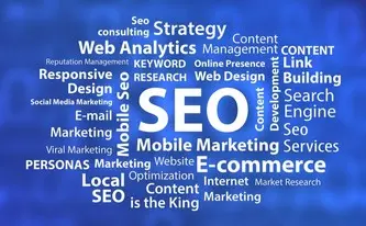 SEO EXPERTISE